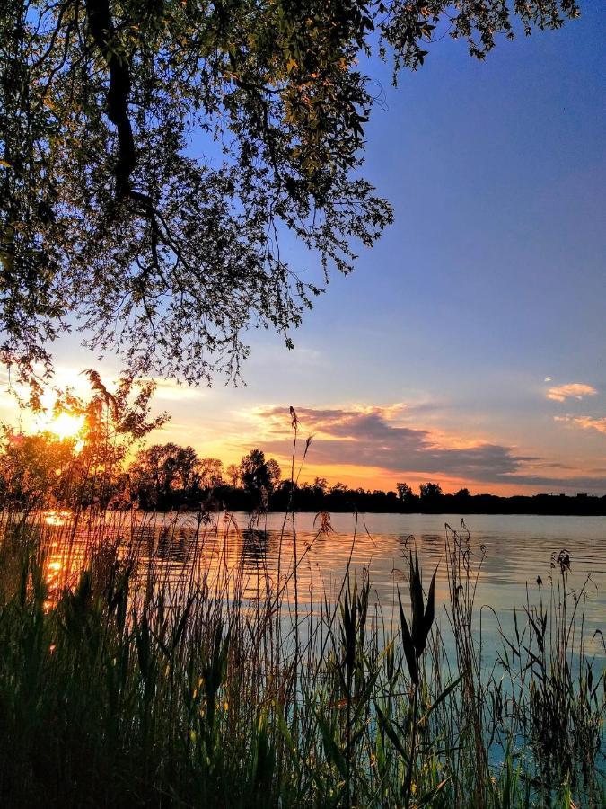 Lotus Home Eleganza E Accoglienza A Mantova Bagian luar foto